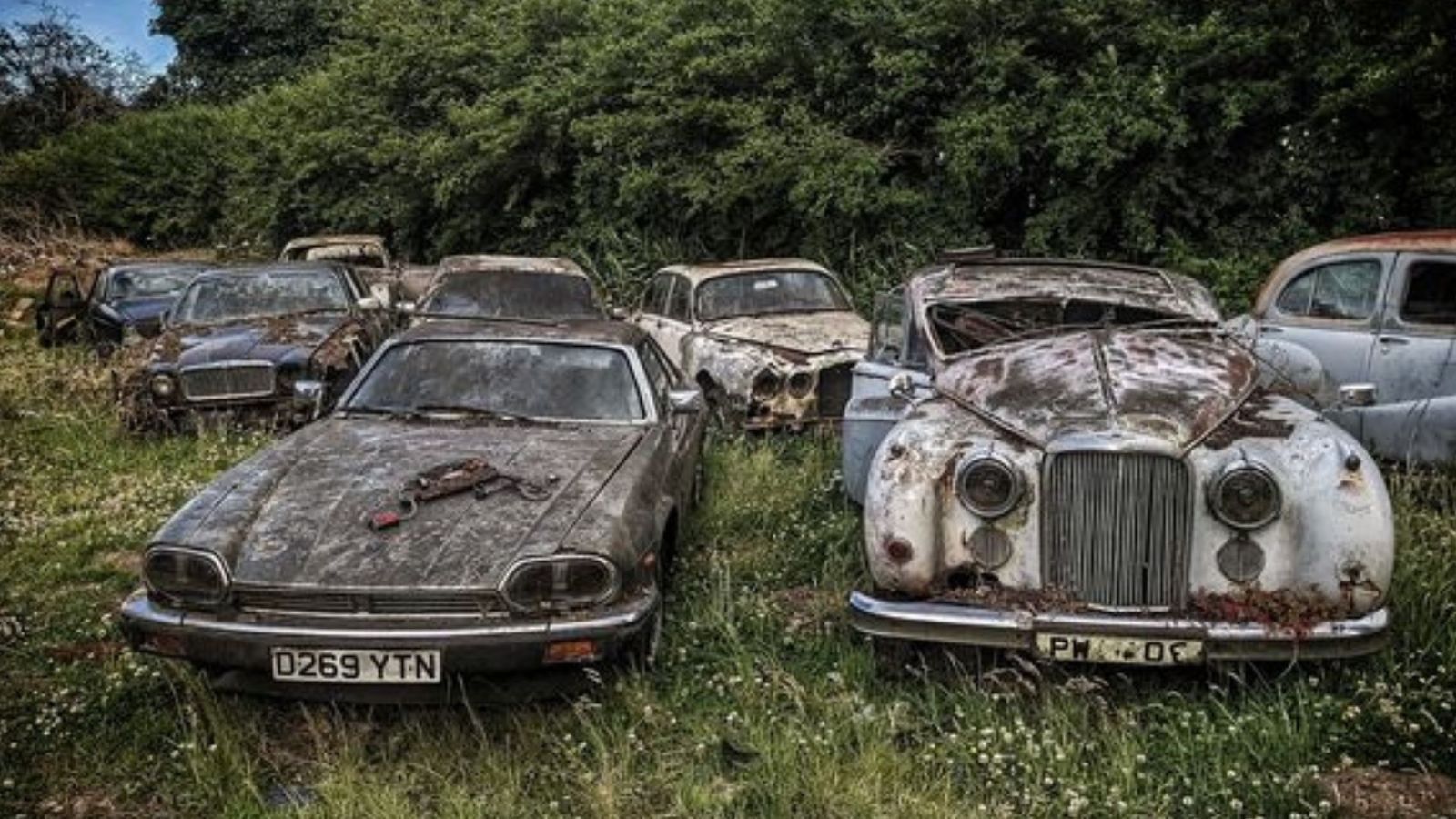 Hidden Scottish Location Reveals Abandoned British Classic Cars