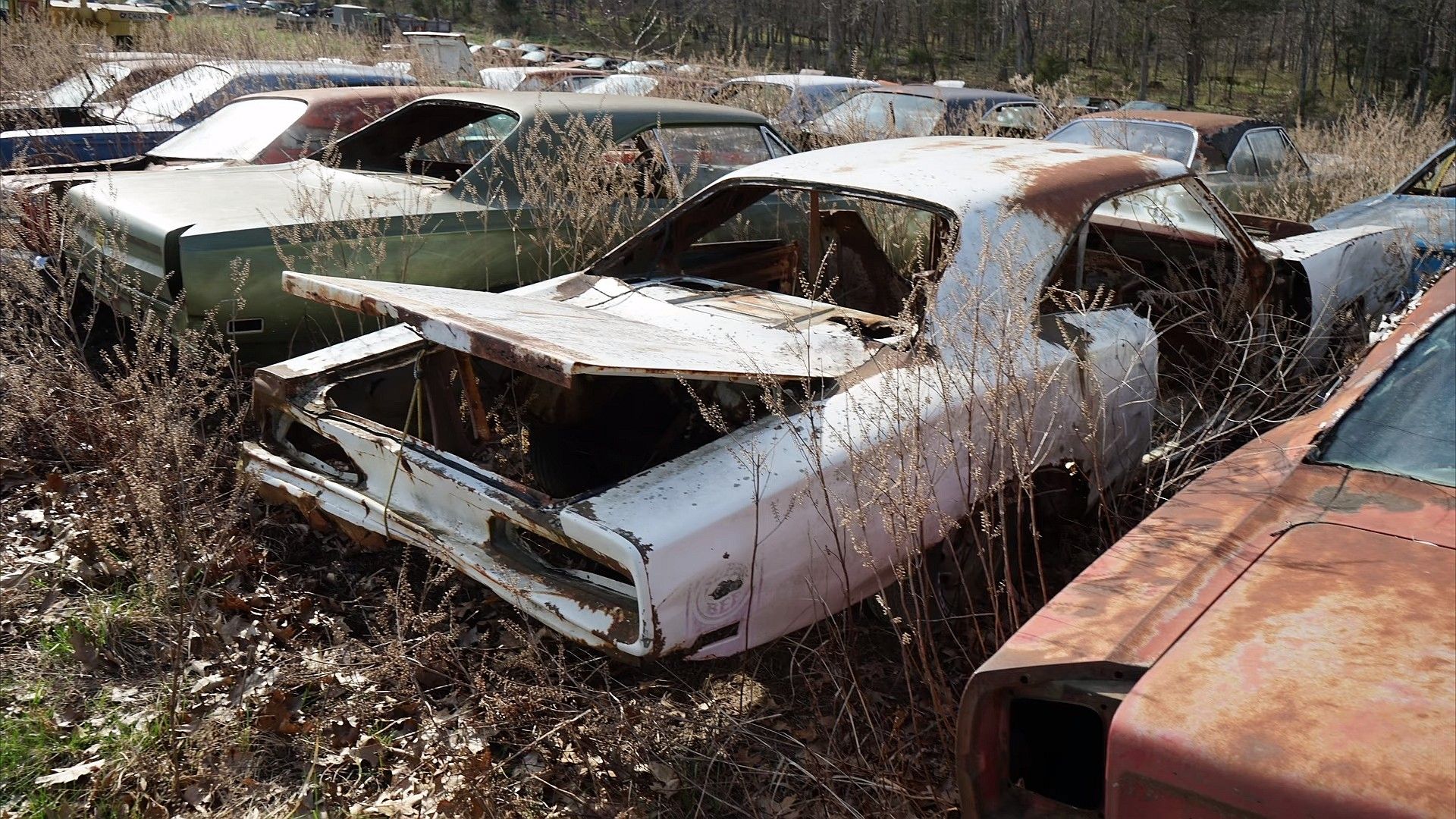 Step Into a Time Capsule: A Farm Where Mopar Muscle Cars Find Their ...