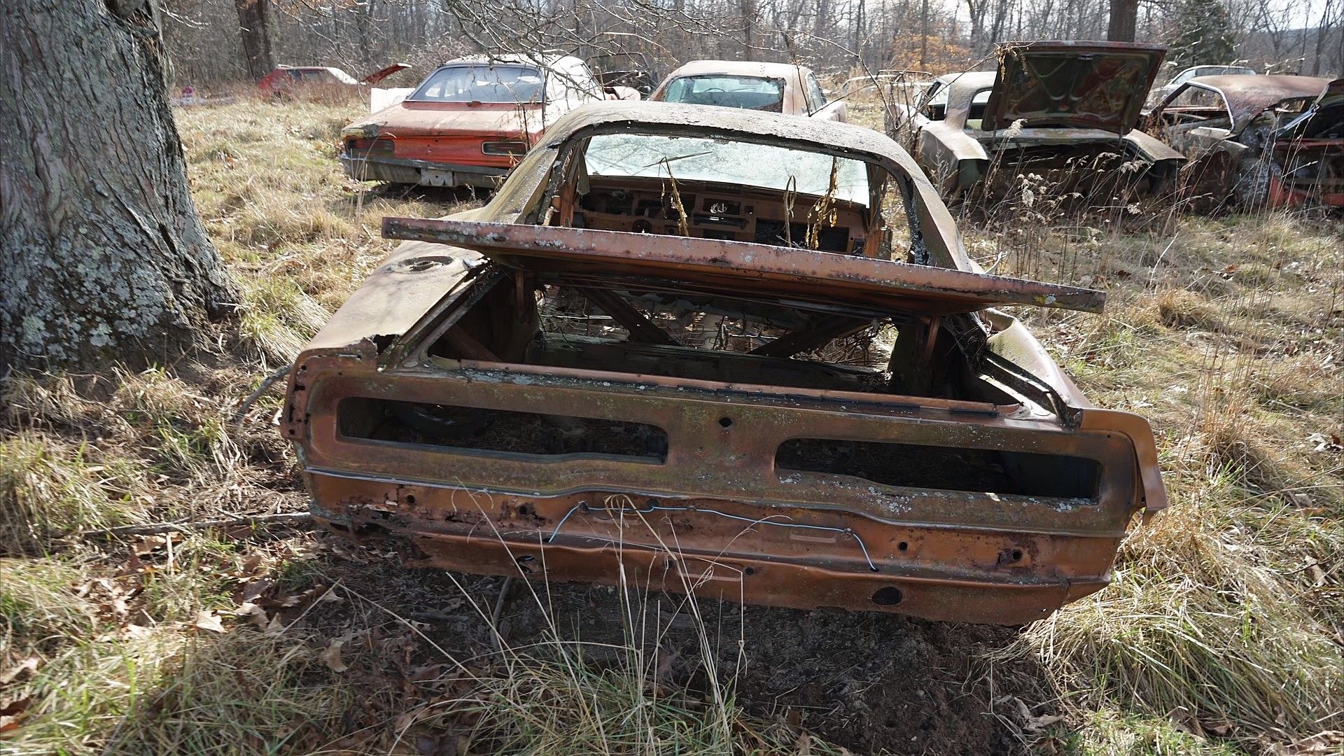 Step Into a Time Capsule A Farm Where Mopar Muscle Cars Find