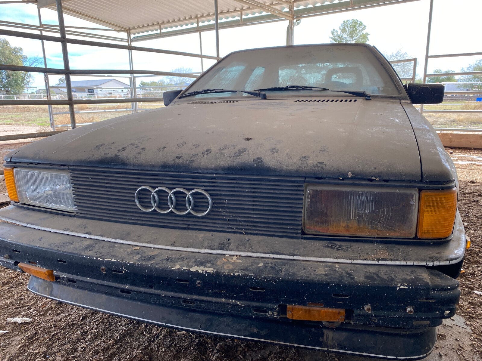1983 Audi Quattro Unearthed In Arizona Barn