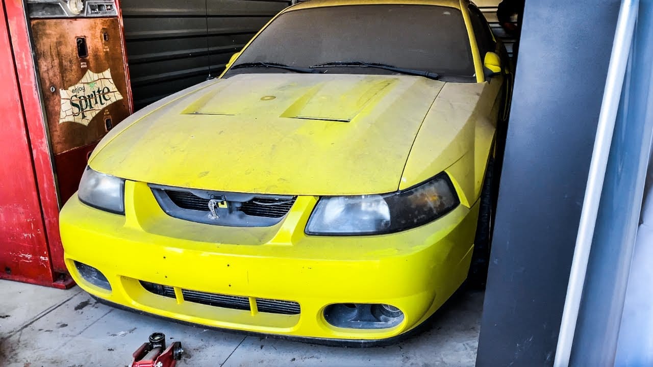 Forgotten 2003 Mustang Cobra Terminator Goes From Oblivion to Glory