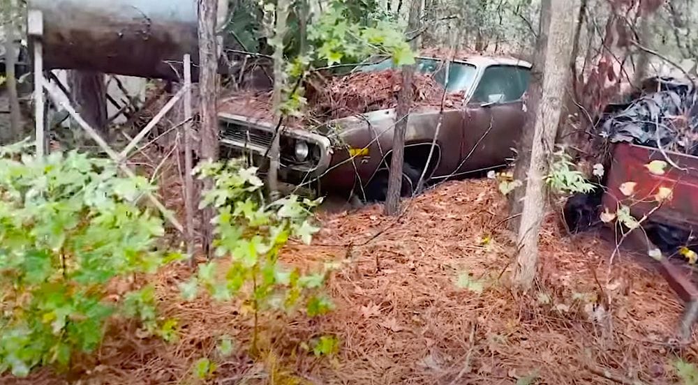 1973 Plymouth Satellite Rotting in the Woods
