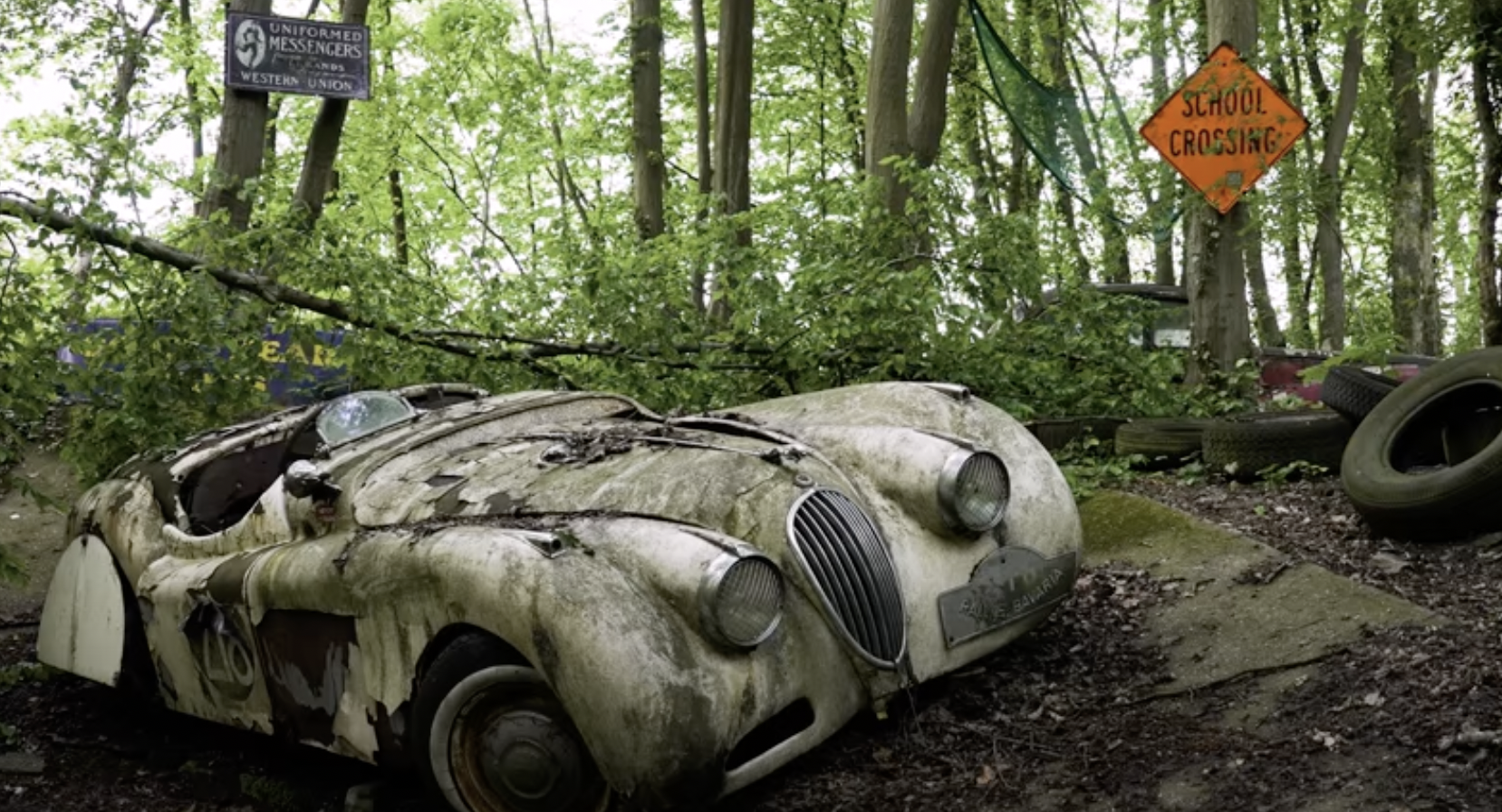 German Forest Conceals Millions of Dollars of Luxury Classic Cars Left to Rot