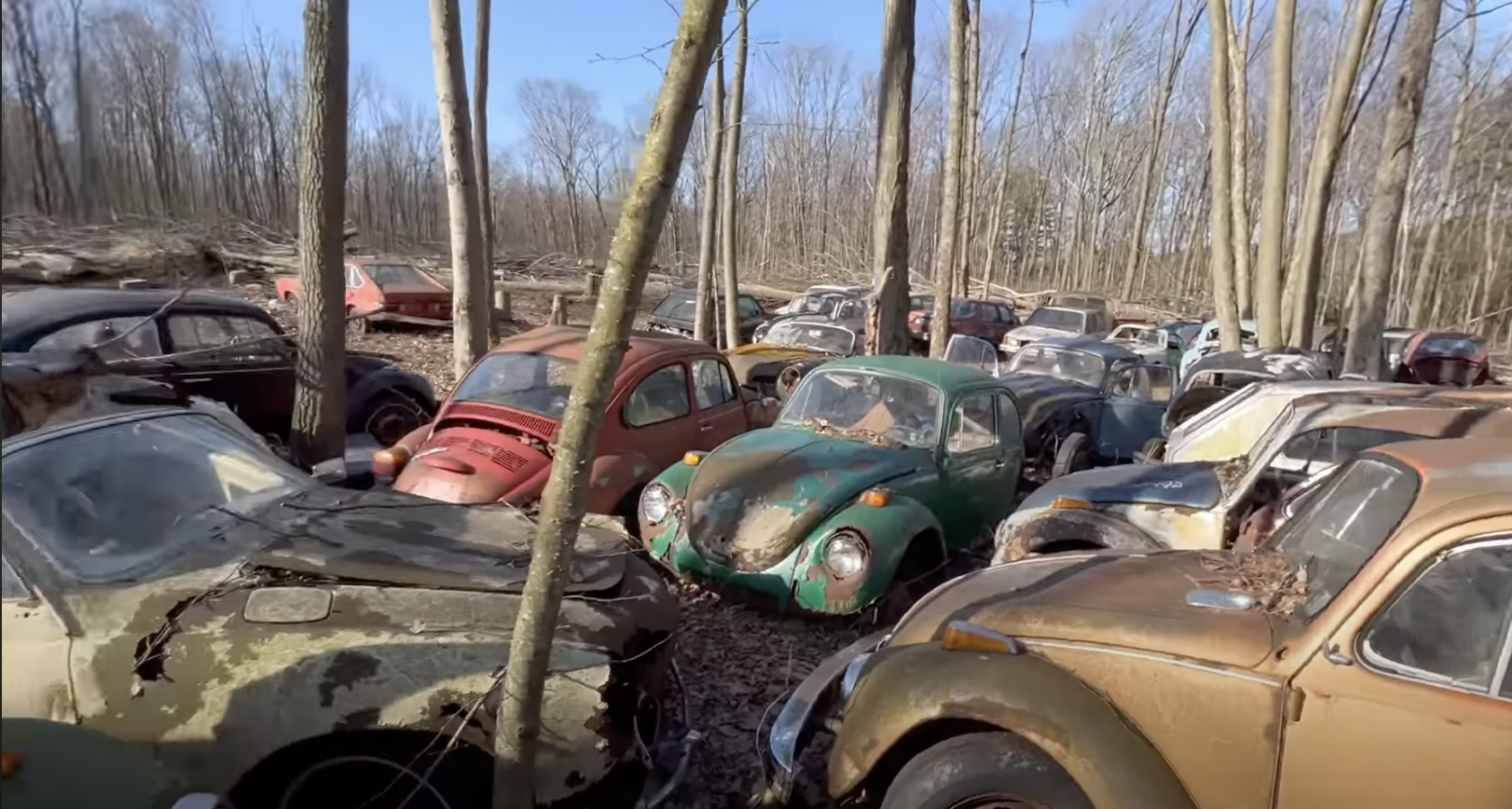 Exploring America's Largest Volkswagen Graveyard