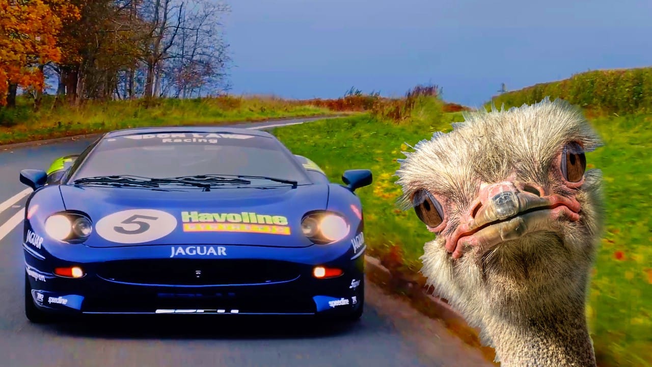 Vanished Jaguar XJ220 Racer Found In Ostrich Shed