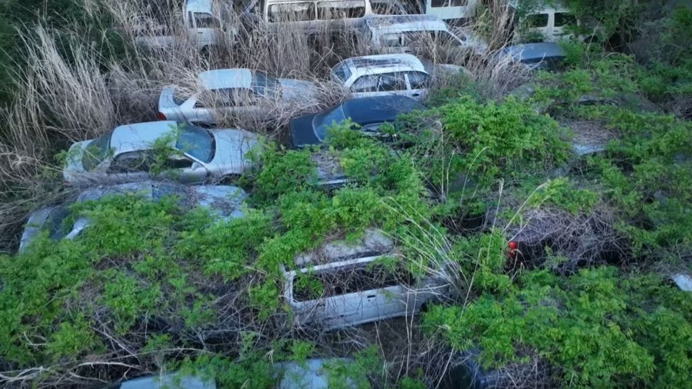 The Rotting Cars of Fukushima